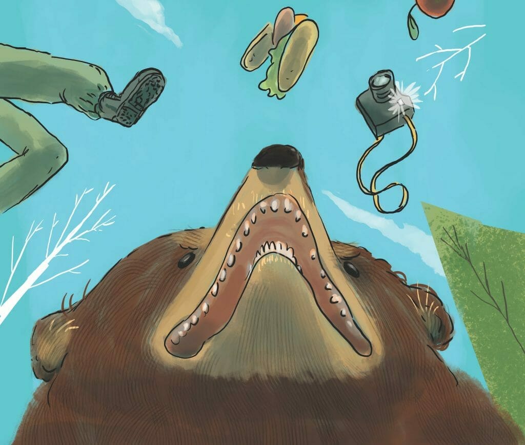 From below the bear, as if a camera has captured the scene while falling, we see the bear mid-surprise-attack. Against the blue sky, several objects are midair– a sandwich, an orange, a man's legs, and a camera with flashbulb illuminated. The illustration is titled "Surprise!"
